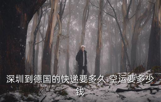 深圳到德國的快遞要多久 空運要多少錢