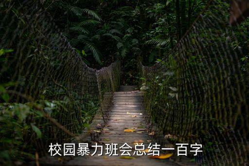  校園暴力班會總結一百字