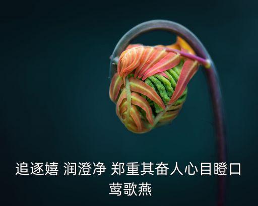 追逐嬉 潤澄凈 鄭重其奮人心目瞪口 鶯歌燕