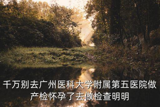 廣州市第五醫(yī)院，廣州市第五人民醫(yī)院的別名是什么