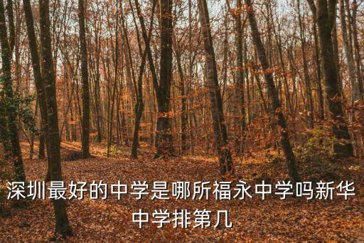 深圳最好的中學(xué)是哪所福永中學(xué)嗎新華中學(xué)排第幾