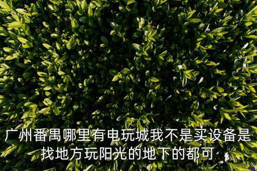 廣州番禺哪里有電玩城我不是買設備是找地方玩陽光的地下的都可