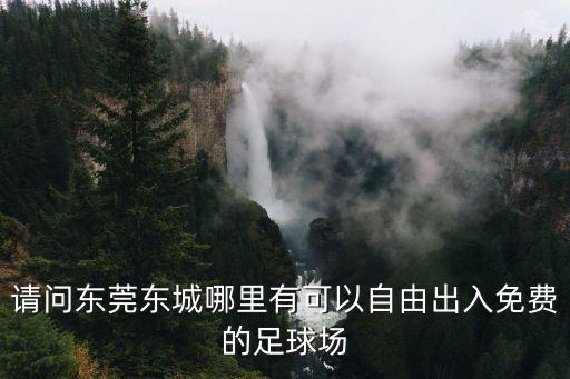 東莞有哪些免費田徑場，請問東莞東城哪里有可以自由出入免費的足球場