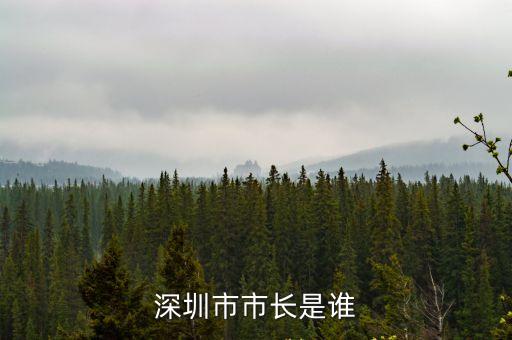 深圳市市長是誰