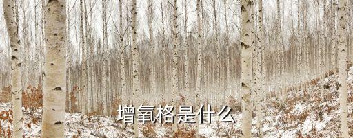 增氧格是什么