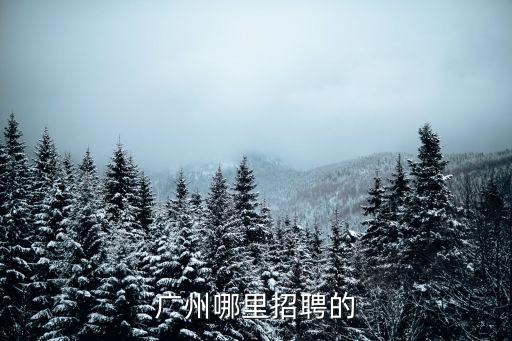 廣州哪里招聘的