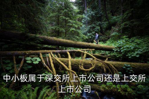 中小板屬于深交所上市公司還是上交所上市公司