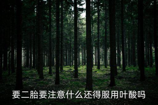 要二胎要注意什么還得服用葉酸嗎