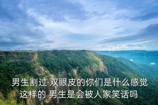 雙眼皮男生,男生割雙眼皮怎么看?