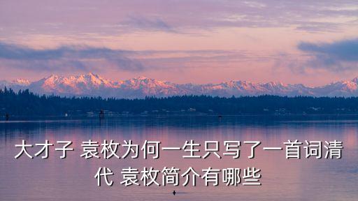 袁枚簡介,袁枚與紀曉嵐并稱南元北朝