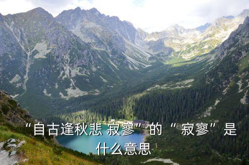 寂寥的意思,索居閑處沉默寂寥的意思