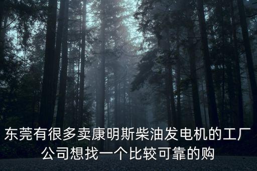 東莞有很多賣康明斯柴油發電機的工廠公司想找一個比較可靠的購