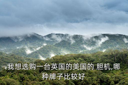 我想選購一臺英國的美國的 膽機,哪種牌子比較好