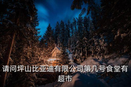 請問坪山比亞迪有限公司第幾號食堂有超市