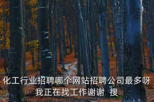 化工行業招聘哪個網站招聘公司最多呀我正在找工作謝謝  搜