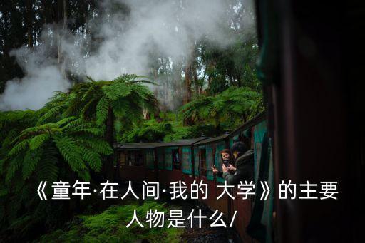 我的大學高爾基,高爾基《我的大學》優秀讀后感400字