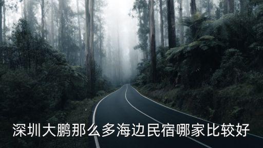 深圳大鵬民宿招聘，深圳大鵬那么多海邊民宿哪家比較好
