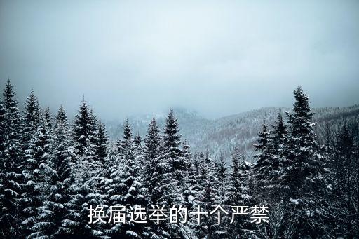 換屆選舉的十個嚴禁