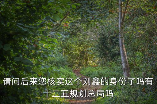深圳安慶商會劉鑫，請問后來您核實這個劉鑫的身份了嗎有十二五規劃總局嗎