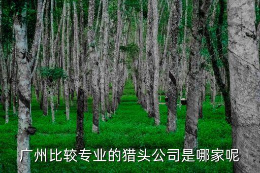廣州中智獵頭公司，廣州it獵頭公司哪家好誰給介紹下