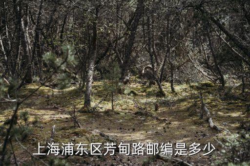 上海市浦東新區芳甸路1050號，請問上海火車南站到嘉里誠租憑中心芳甸路1050號怎么走 啊