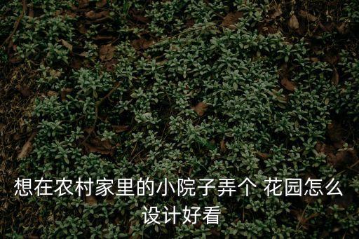 想在農村家里的小院子弄個 花園怎么 設計好看