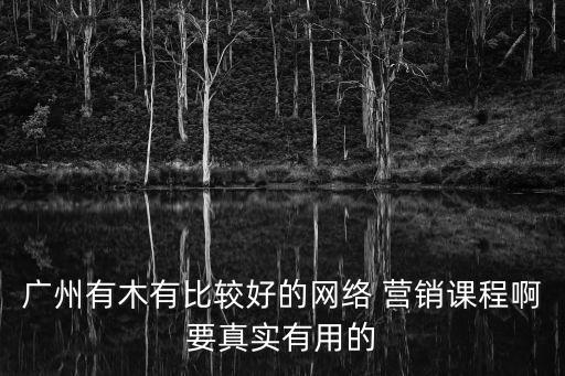 廣州有木有比較好的網絡 營銷課程啊要真實有用的
