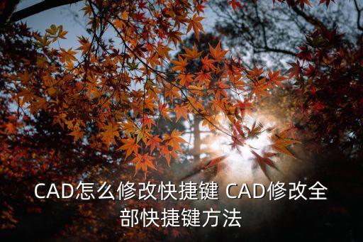 cad修改快捷鍵，CAD中如何更改快捷鍵