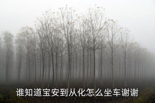 誰知道寶安到從化怎么坐車謝謝