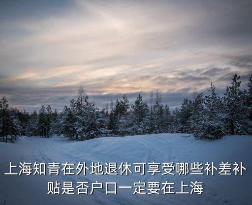 上海市 資金來源 補助 項目，上海市寶山區的專利資助項目有哪些
