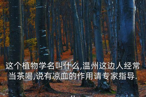 這個(gè)植物學(xué)名叫什么,溫州這邊人經(jīng)常當(dāng)茶喝,說(shuō)有涼血的作用請(qǐng)專(zhuān)家指導(dǎo)...