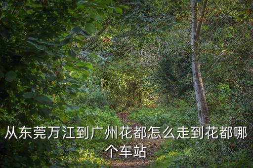 從東莞萬江到廣州花都怎么走到花都哪個車站