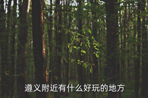  遵義附近有什么好玩的地方