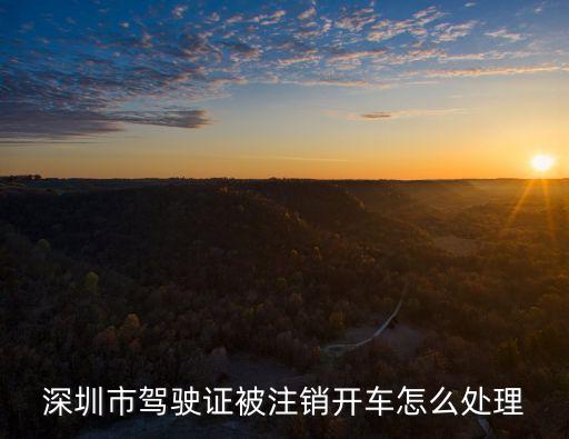 駕照吊銷了深圳牌，駕駛證被吊銷車倆號牌怎么辦