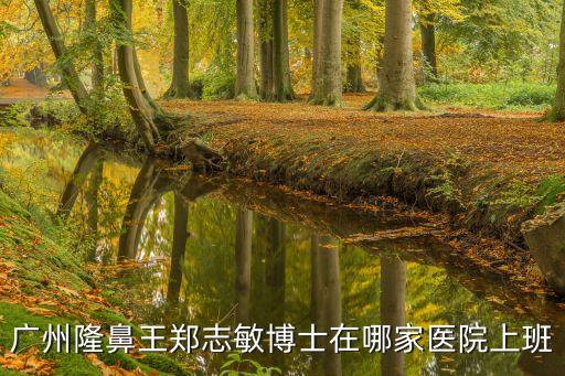 廣州 輻照，廣州隆鼻王鄭志敏博士在哪家醫院上班