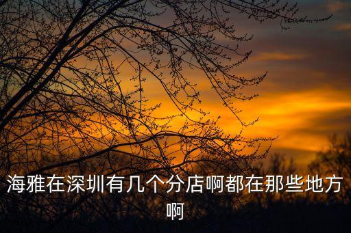 海雅在深圳有幾個分店啊都在那些地方啊