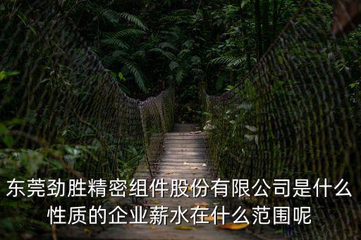 東莞勁勝精密組件股份有限公司是什么性質的企業薪水在什么范圍呢