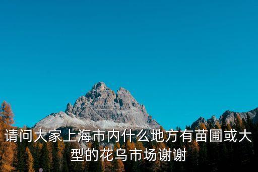 上海市疫苗 花木，請問大家上海市內什么地方有苗圃或大型的花烏市場謝謝