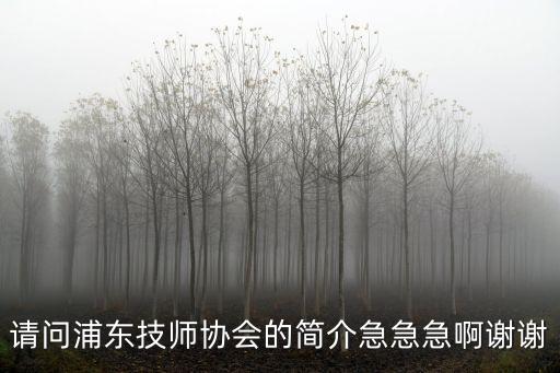 請問浦東技師協會的簡介急急急啊謝謝