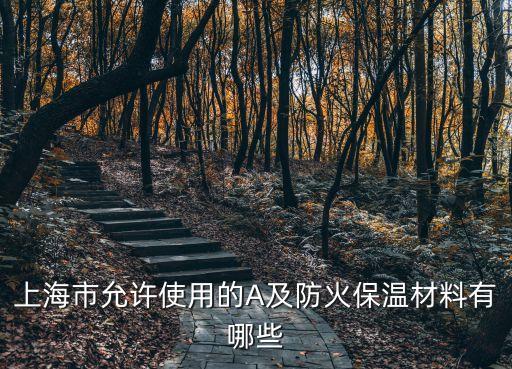 上海市允許使用的A及防火保溫材料有哪些
