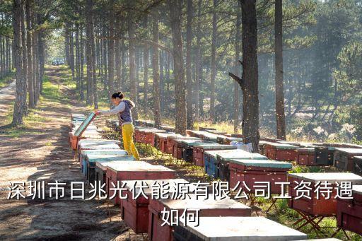 深圳日兆光伏橋頭，深圳市日兆光伏能源有限公司有什么成功案例可以參考嗎