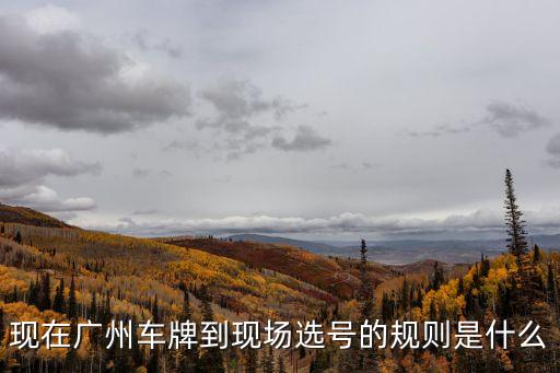 現在廣州車牌到現場選號的規則是什么