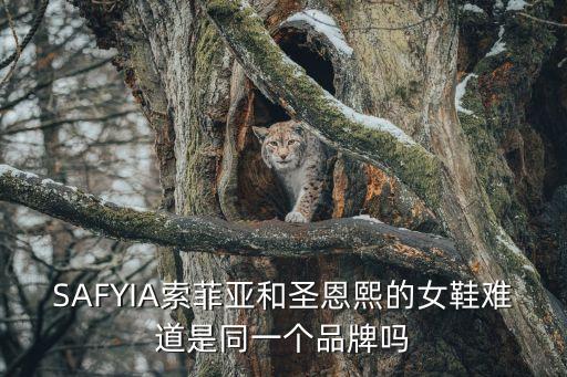SAFYIA索菲亞和圣恩熙的女鞋難道是同一個品牌嗎