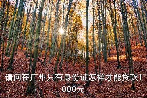 請問在廣州只有身份證怎樣才能貸款1000元