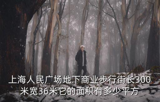 上海人民廣場地下商業步行街長300米寬36米它的面積有多少平方