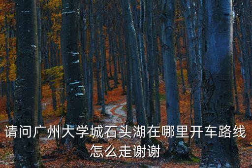 請問廣州大學城石頭湖在哪里開車路線怎么走謝謝