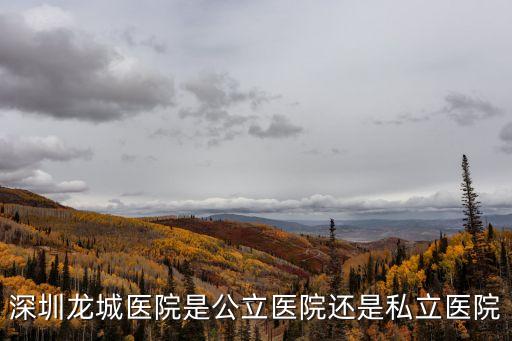 深圳龍城醫院是公立醫院還是私立醫院