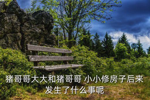 小小和大大