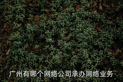 廣州有哪個網絡公司承辦網絡業務