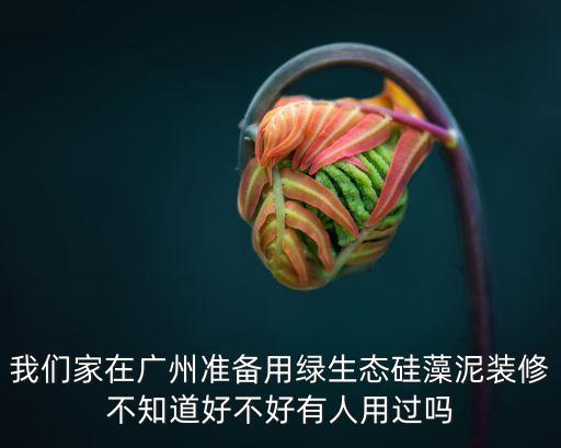 廣州硅膠泥裝修，硅藻泥裝修70方的房子要多少錢